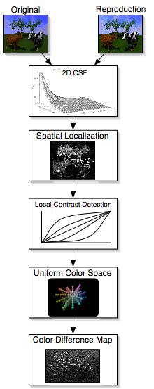 Figure 1. Flowchart of Modular Image Difference Metric. modules have been described, and include spatial filtering, adaptation, and localization, as well as local and global contrast detection.