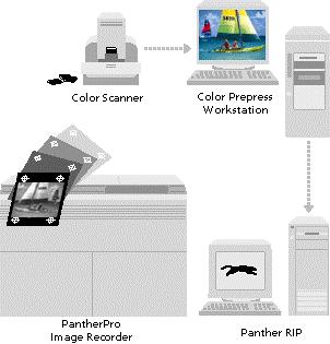 From Picture to Press Using scanning software on your color workstation, you can scan an original using a 35mm slide scanner, drum scanner, or flatbed scanner.