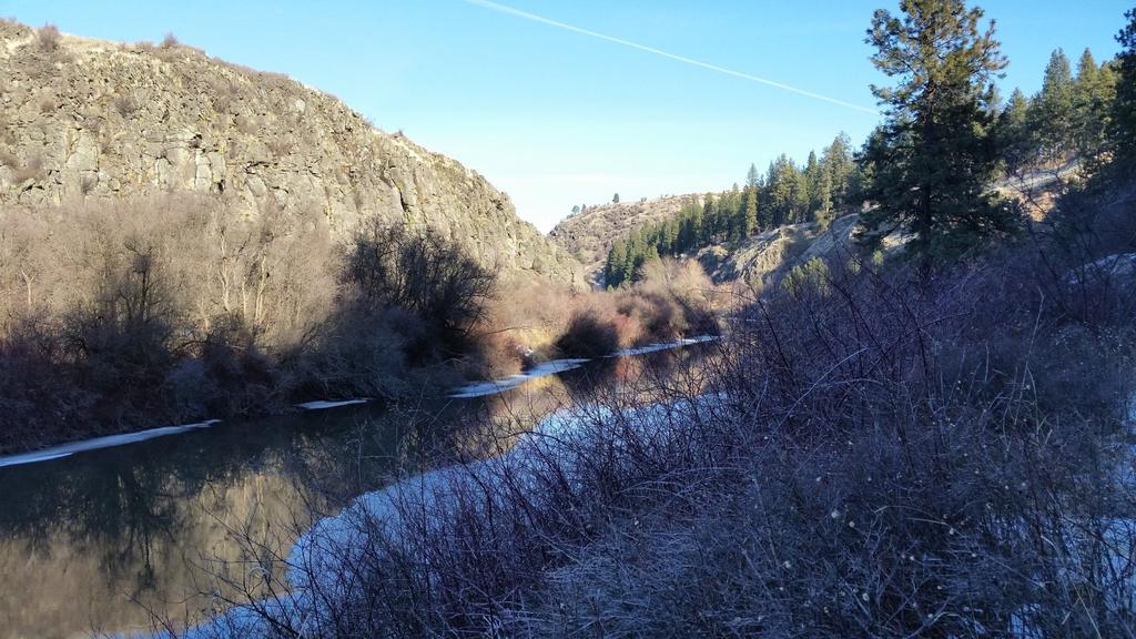 Rhinehart Canyon #2 Sunday May 20th, 2018, 11:30 3:00 PM; $30 per participant For those of you not interested in an early morning start: L ed by professional birder, Trent Bray, we will spend the