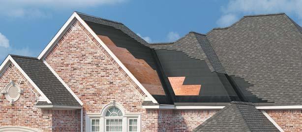 Choosing TAMKO products will provide professional-grade performance to enhance roof protection and durability. Building products for the professional.