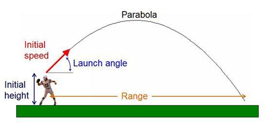 parabolic shapes.
