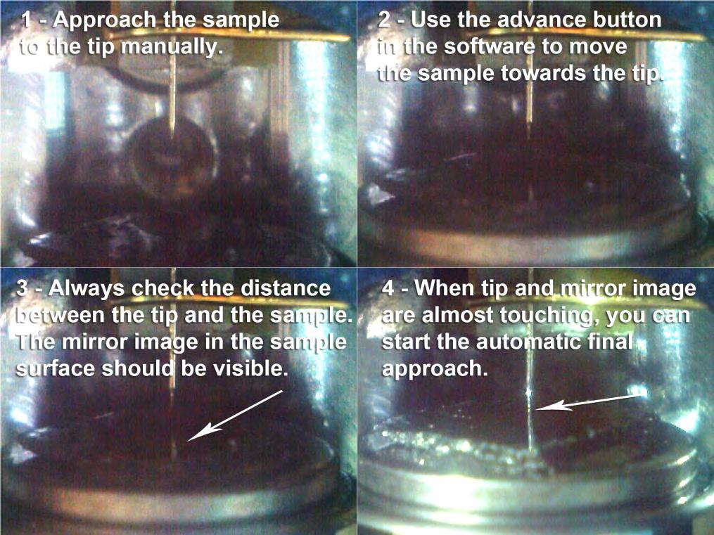 - Push the sample holder carefully in the direction of the tip (b), but don t let it touch the tip (1 cm distance). See also the step-by-step pictures in Fig.