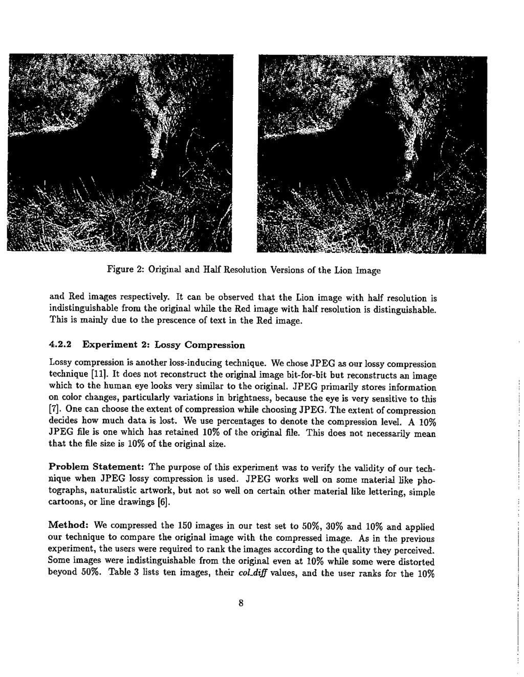Figure 2: Original and Half Resolution Versions of the Lion Image and Red images respectively.