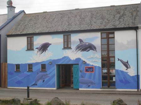 by Shannon Development Ltd. examined the potential of special interest marine tourism in the West Clare peninsular. The dolphins were identified as the areas unique product.