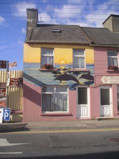 They have been adopted by Clare County Council as the emblem for their litter campaign, and have inspired Kilrush to promote itself as the Gateway to the Shannon Dolphins.