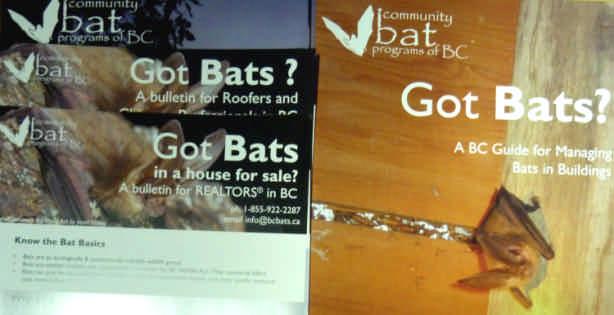 2.4 Building-trade Professional Contacts In 2017-18, BC Bats organizers published several enhanced BC Community Bat program brochures, as shown below, and these informative and attractive materials