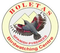 Birdwatching Holidays in Spain, Morocco & more BOLETAS Birdwatching centre 22192 Loporzano (Huesca) Spain tel/fa 00 34 974 262027 or 01162 889318 e.mail: josele@boletas.