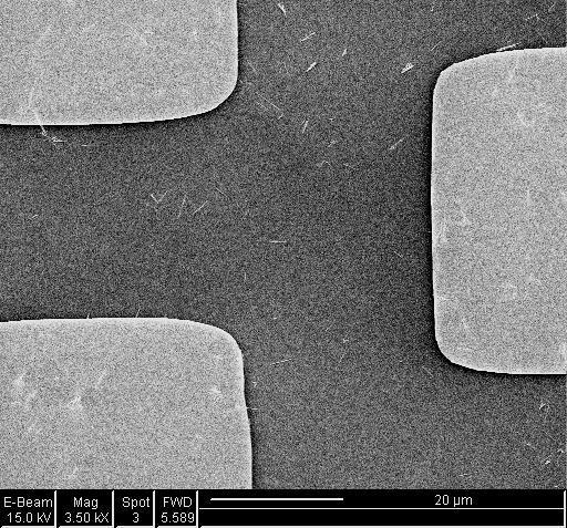 Detail: Nanowire FET