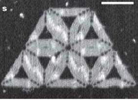 3. assisted DNA tile circuit (1D) CVD parts Metal wiring (to metal electrode) Folding DNA to create nanoscale shapes and patterns Paul Rothemund, Nature 2006 time(s)/ time(s) /10^14 Cost($)/ Cost($)/