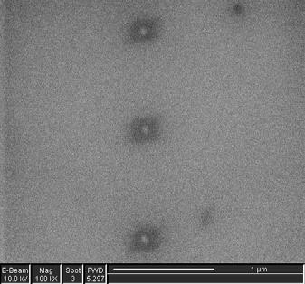 4. assisted Nanowire synthesis and circuit fab (0D) CVD parts metal catalyst Oxide can be