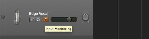 If Input Monitoring is turned on, you should be able to hear your