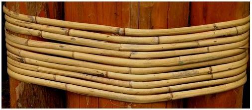 Larger green bamboo stalks can be split into strips, and these strips are as strong as steel strapping.