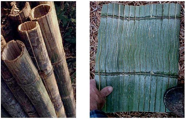How To Make Bamboo Planks : This table has a top made from green bamboo planks, which are just flattened green stalks. Bamboo Planks are made by flattening out large green bamboo stalks.