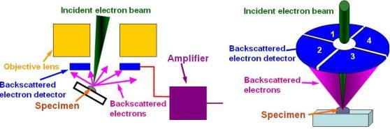 distribution info Detects higher energy (>5kV) electrons: SEM backscattered electrons 57 4) Electron detectors: In-lens BSE (EsB) Energy filtering grid