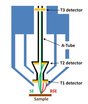4) Electron Detectors: TENEO has 3