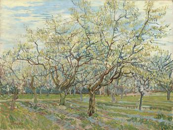 Blossom, View of Arles