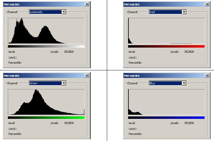 If the image is RGB true color, choose R, G and B to display a composite Histogram of the individual color channels in color.