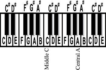 Activity 1: Finding the frequencies of musical notes. Western music uses twelve musical notes: 1 2 3 4 5 6 7 8 9 10 11 12 A A # B C C # D D # E F F # G G # https://commons.wikimedia.