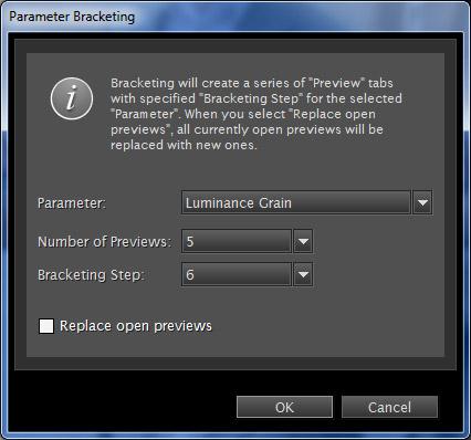 Advanced Use Bracketing In addition to creating custom multiple previews, Realgrain provides an automated bracketing feature for quickly generating a preset series of previews.