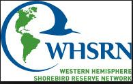 blue hern nest clnies 6 bird species