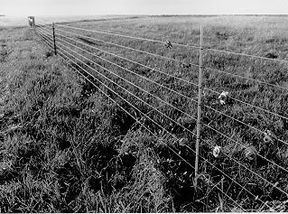 of the proper fencing system. Three types of fencing are likely to be used in a grazing cell: perimeter, permanent subdivision, and temporary or portable fencing.