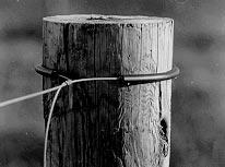 Figure 6. permanent installation should have a long enough tail to wrap around the post and back around the wire to hold the wire loosely to the post.