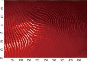 Low-Cost, Contactless and Accurate 3D Fingerprint Identification System 低成本非接觸式精確 3D 指紋識別系統 Dr. KUMAR Ajay csajaykr@comp.polyu.edu.