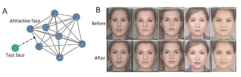 Facial Beauty Analysis 人臉美學分析 Professor ZHANG Dapeng David csdzhang@comp.polyu.edu.
