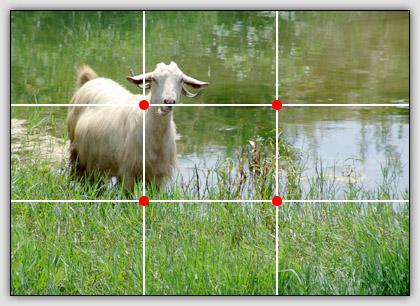 NINE ZONE GRID - Positioning Positioning of the dominant subject of a photograph in a zone is called weighting.
