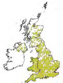 Brown long-eared Noctule Common pipistrelle Natterer s Bechstein's Barbastelle Greater horseshoe Lesser horseshoe Figure 1: Distribution maps for some of the more common bats known to use woodlands