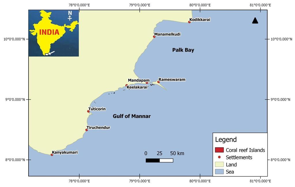 Conservation Status - Gulf of Mannar & Palk Bay Gulf of Mannar Marine National Park, declared in 1986 (21 Islands and surrounding shallow coastal waters, covering 560 sq.