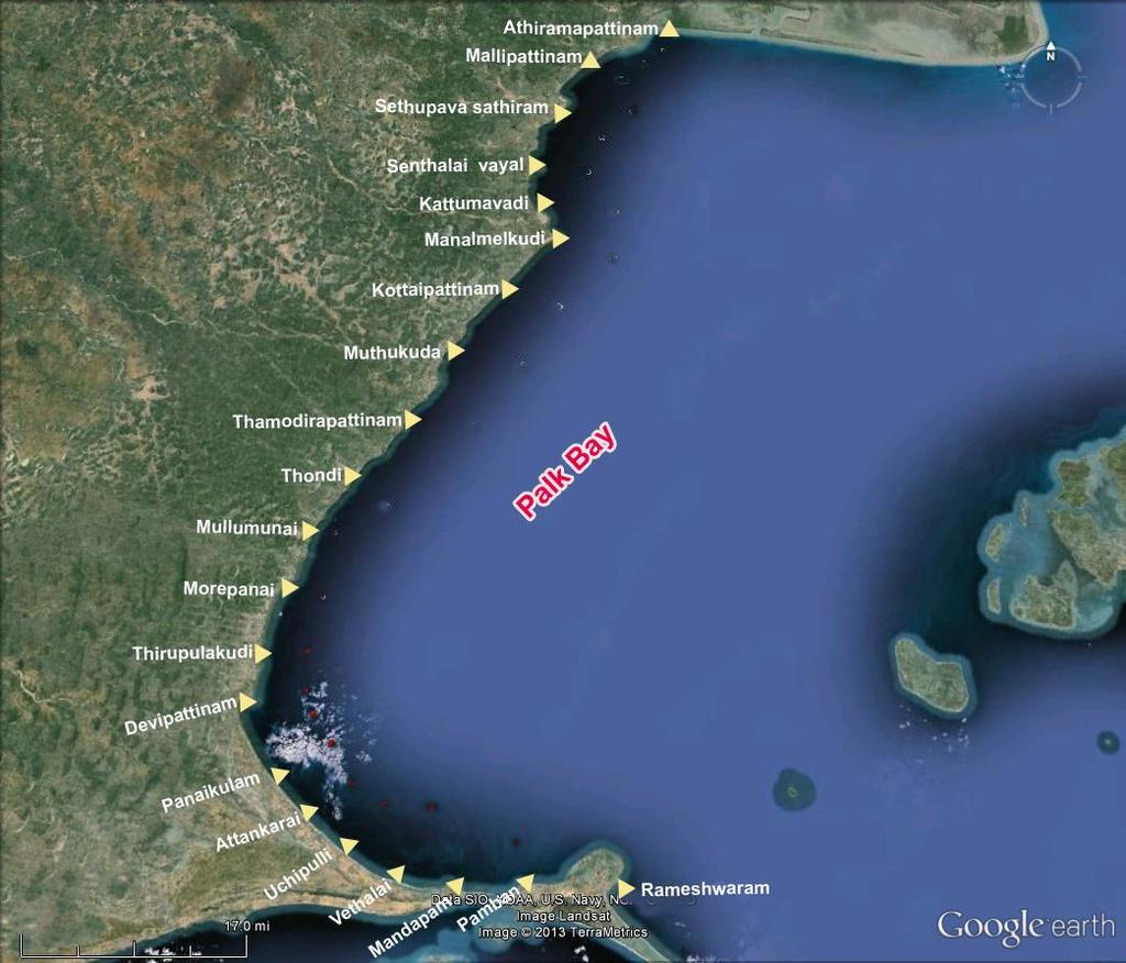 Palk Bay Coastal length (between Pamban and Athiramapattiam) - 170 km Seagrass area cover - 209
