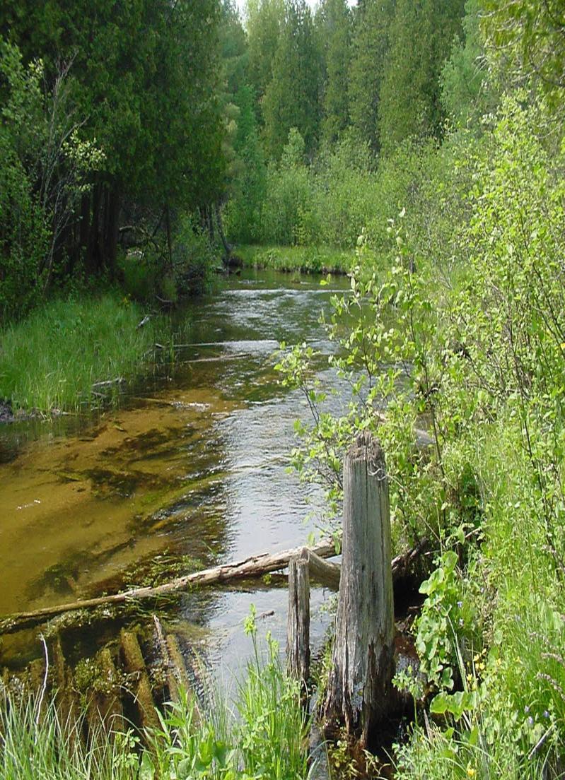 This project type includes rehabilitation or enhancement of aquatic habitats in lakes or streams using hard or soft material.