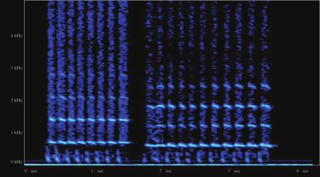 Figure 7: Spectrogram of two tones played on the enggung. Figure 4: A huntoong from Thailand.
