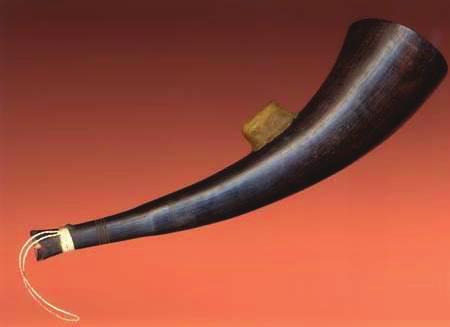 534 Hz Figure 9: A free reed buffalo horn (The narrow end of this one is closed). The inset shows a view of the reed.