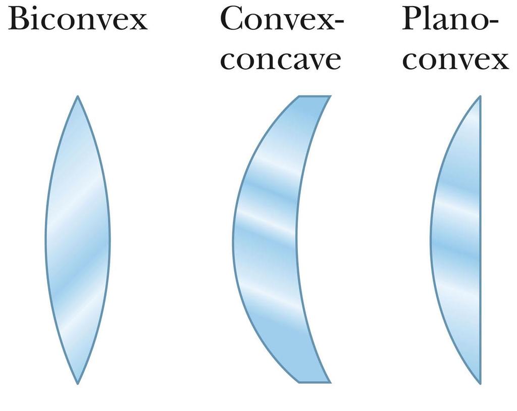 Thin Lens Shapes These are examples of converging lenses.