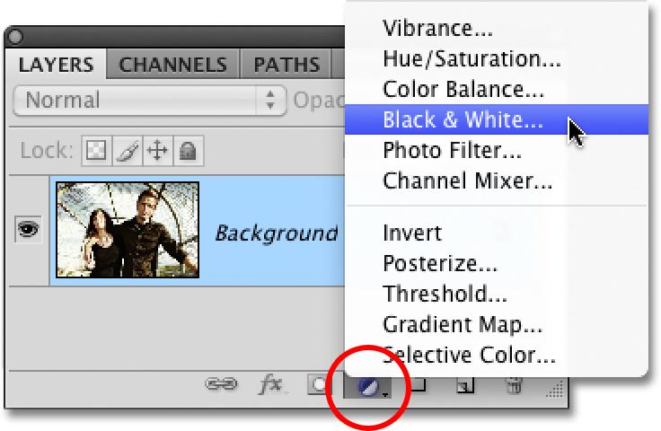 If we look in our Layers palette, we see that we currently have only one layer, the Background layer, which is the layer that contains our image.