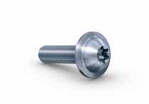surfaces PAN HEAD SCREWS WITH FLANGE Multifunctional screws with integrated washer in flange