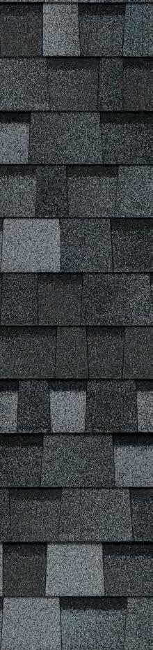 Collection Shingles with patented SureNail Technology offer the following: Breakthrough