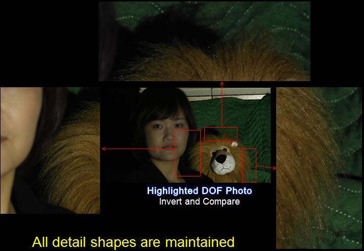 Highlighted Depth of Field technique has various applications and one of them is automatic natural scene matting. An alpha matte image (Figure 4.