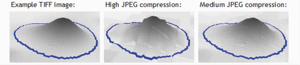 Compressed Images including JPEGs Avoid using JPEG files for image analysis. The JPEG format is what is called a lossy compression system; while the images may look the same they aren t.