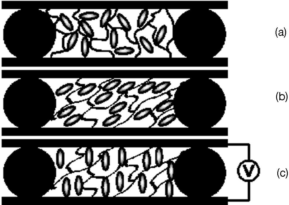 Fig. 1. Schematic drawings of a stressed LC cell: (a) after polymerization, (b) after shearing, (c) after an electric field has been applied. in Sections 2 and 3.