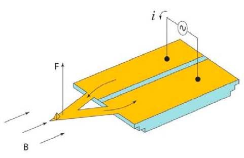 Ch. 6. idrive Imaging Sec. 6.3. Compatible Cantilevers (a) Schematic diagram of Lorentz Forces exerted on a cantilever with integrated circuit loop. (b) idrive cantilever holder for the MFP-3D AFM.