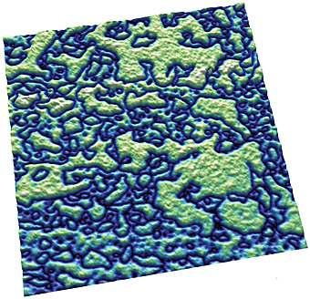 Ch. 7. PFM Theory Sec. 7.6. Emerging Applications for PFM Figure 7.30.: (001) domains in a PZT thin film, 3.8µm scan. Image courtesy N. Polomoff and B. D.