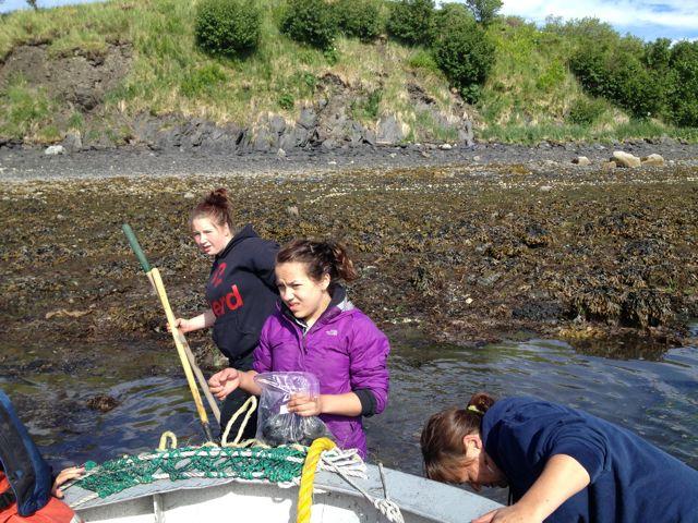 Julie continued quarterly invasive tunicate plate monitoring at St. Paul harbor.