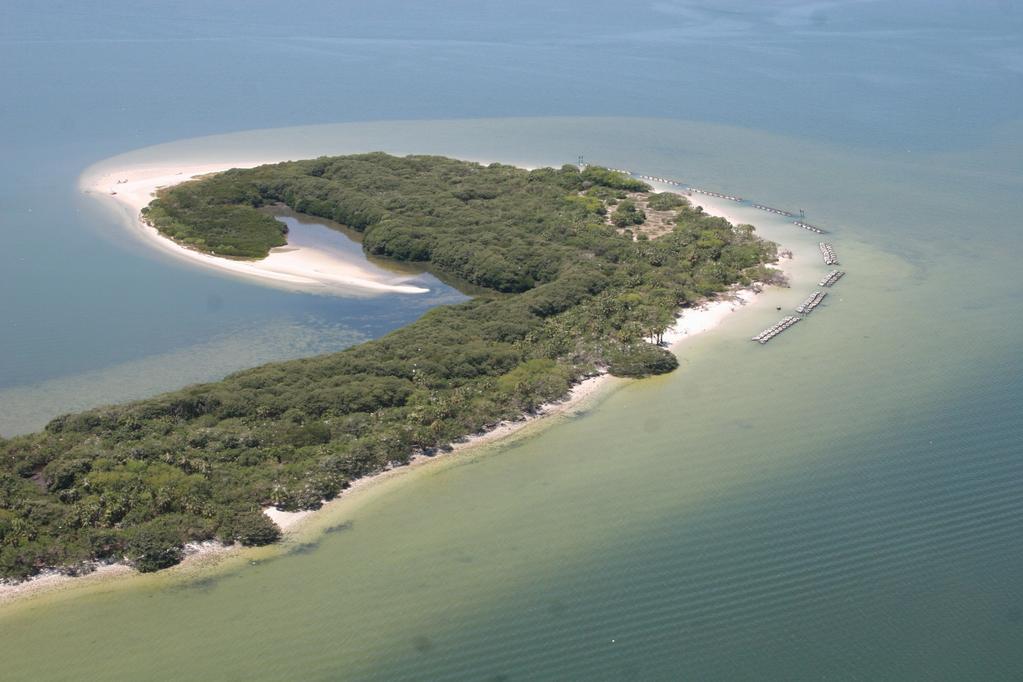 Even in Florida Bay, where staff expected catastrophic torsion of mangroves comparable to that seen after Hurricane Wilma, trees showed only modest windburning, which will recover within a season.