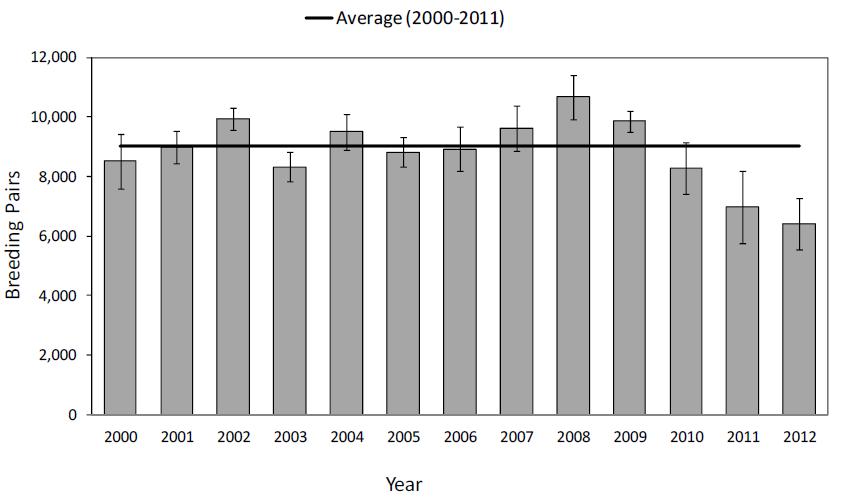 the lack of nesting success through their effects on marine forage fish availability (Roby et al. 2012). Figure 5. Number of Caspian Tern Breeding Pairs on the East Sand Island Colony (Roby et al.