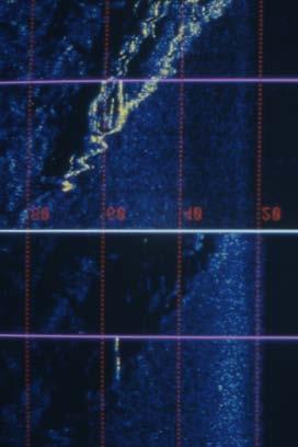 the Atlantic, has absorbed the 120 khz but highlighted the circled target.