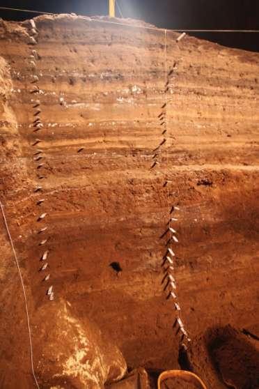 Case study: Naracoorte Caves World Heritage Area World Heritage listed in 1994 Australian Fossil Mammal Sites (Riversleigh/Naracoorte).