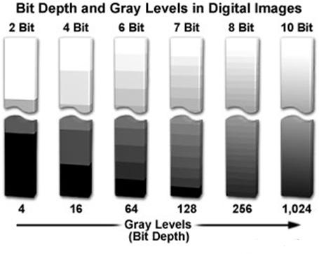 Image quality dynamic range Acquire your image with appropriate grey